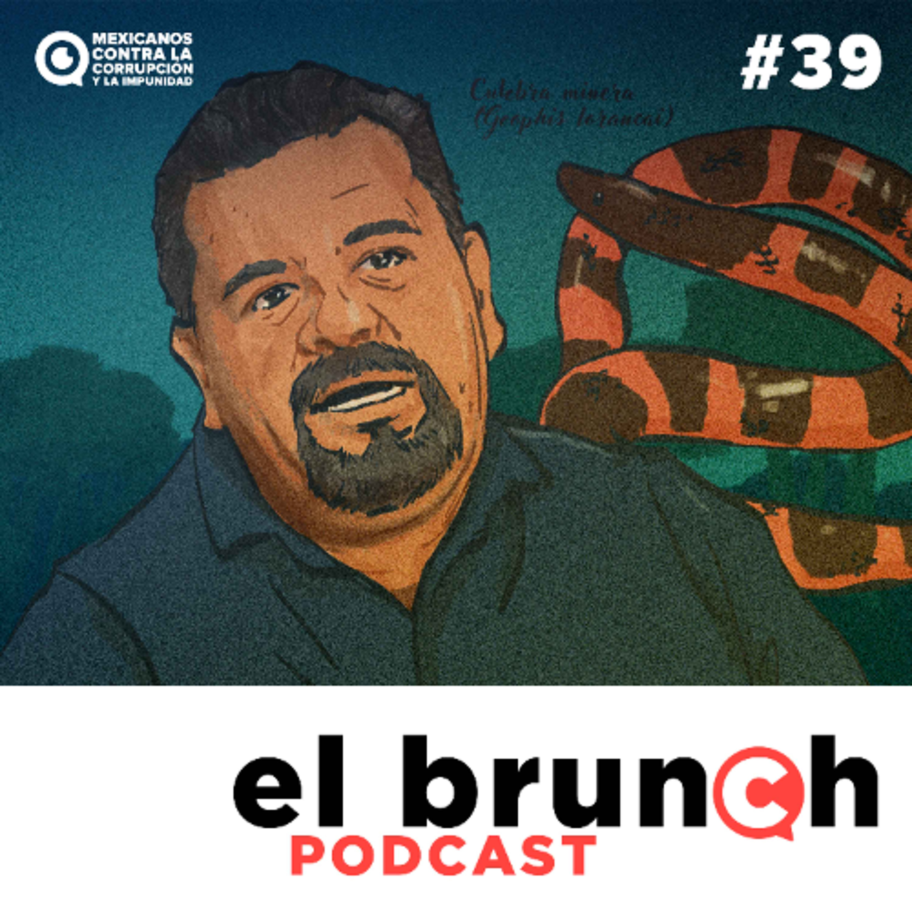 Portada de El Brunch