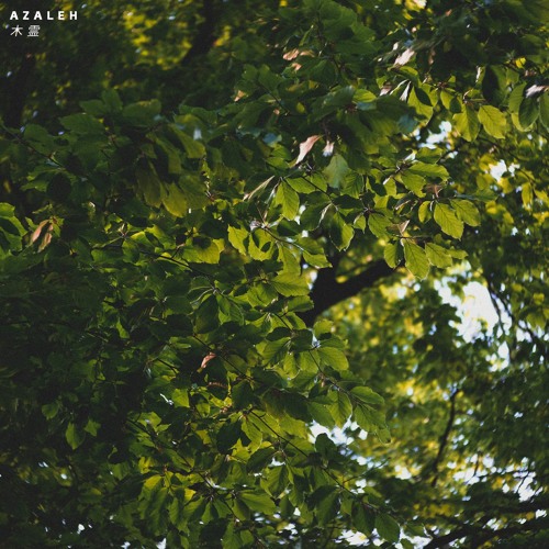 Kodama