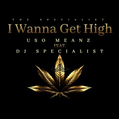'I Wanna Get High' Uso Meanz Feat. DJ Specialist