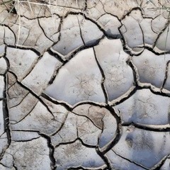 Notes on Despair
