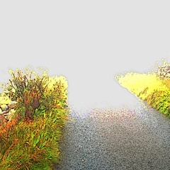 Vanishing (naviarhaiku422)