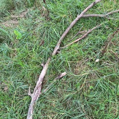 49m² | 新录音 139