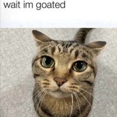 Magdalena Bay - Death & Romance (ZZNG Remix)