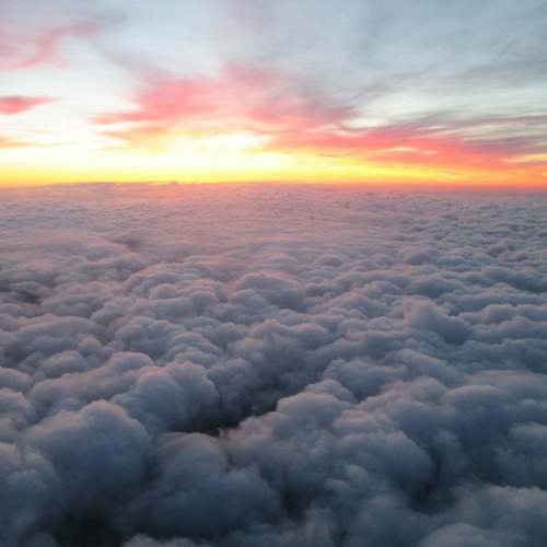 05 Ф.Шуберт - Ave Maria