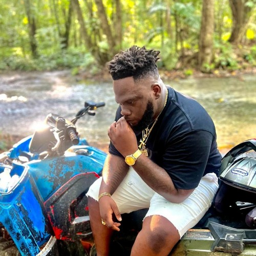 Chronic Law - Check E' Details