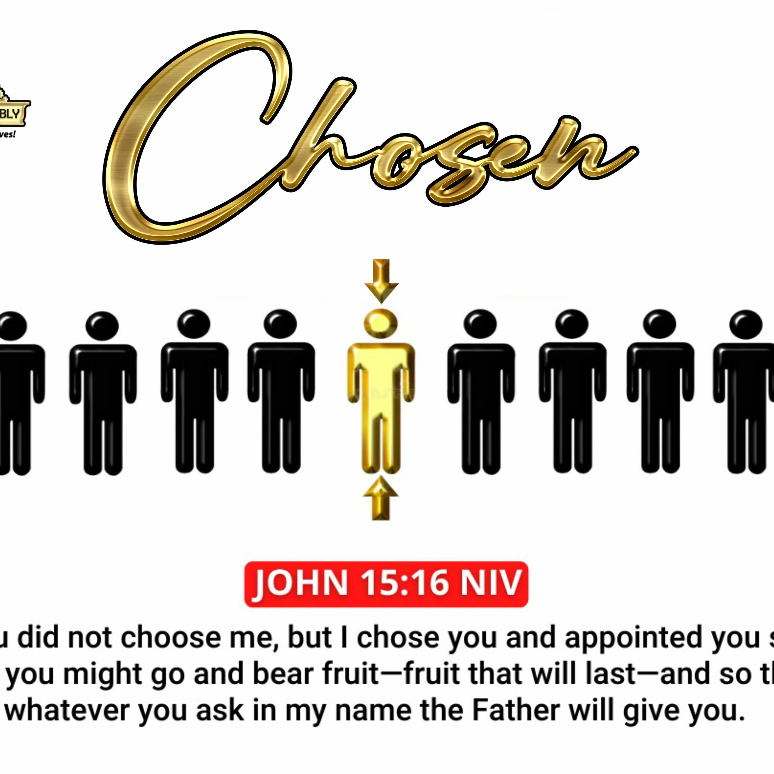 The Word of Grace