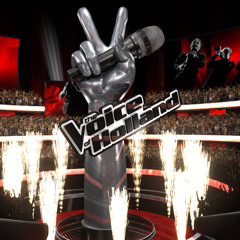 The Voice of Holland - Leader Instrumental