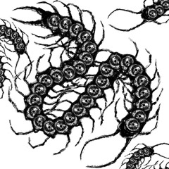 Centipedes p. NE’ERDOWELL x babieyummo