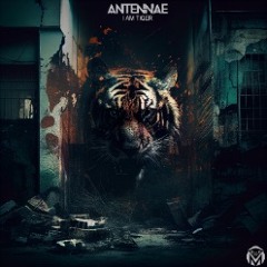 [Headbang Society Premiere] An-ten-nae - I Am Tiger