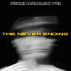 Скачать видео: The Never Ending