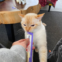 si no luchas por ello no es amor.