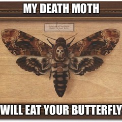 Acherontia atropos
