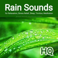 Calming Rain Sounds