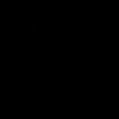 stolen dance