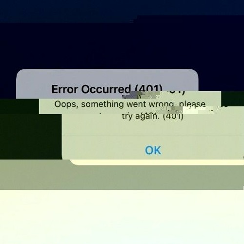 Error Occurred (401)