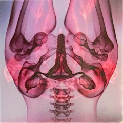 Eartheater feat. Shygirl - Dolphin (Polykarp remix)