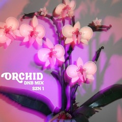 ORCHID DNB MIX - SZN 1