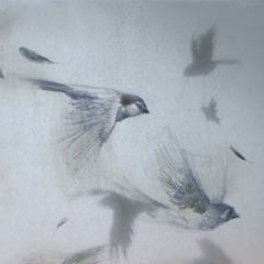 To think about the way your hair falls