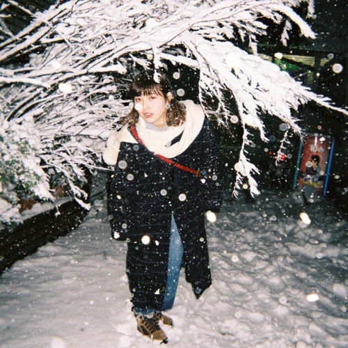我想起雪月花否是不在