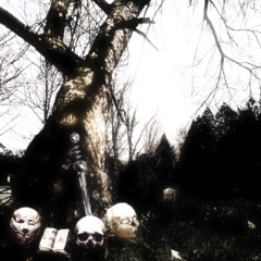 trust my gut (prod. zoot)