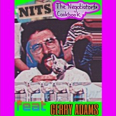 THE NEGOTIATOR'S COOKBOOK FEAT GERRY ADAMS