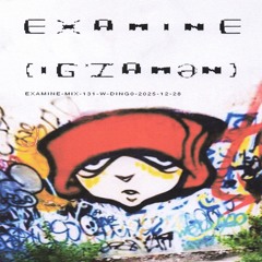 examine-mix-131-w-ding0-2025-12-28