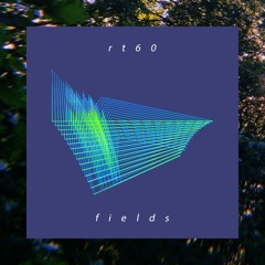 rt60Fields - transient