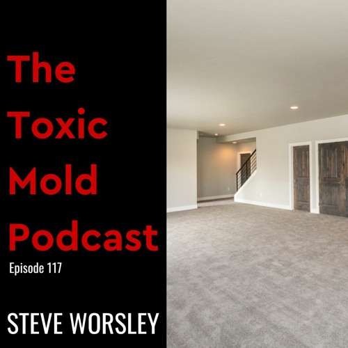 EP 117: Toxic Mold and Your Basement