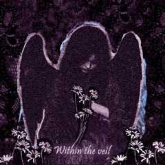 Within The Veil