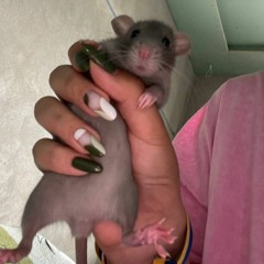 Teen A (Feat. Lovesomemama) CLONNEX