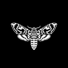 Ember (Original Mix)