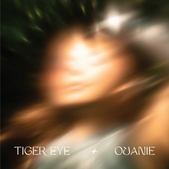 Tiger Eye