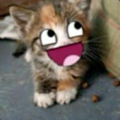 want/need (slowed & reverb)