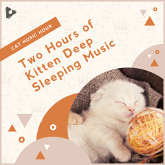 Calm Music for Cats
