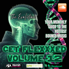 Get Flexxxed Volume 12 - DJ FLEX