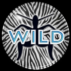 Tribute To Wild FM - Megamix #2 (50 Tracks)