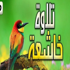سورة القلم - سالم الرويلي Surah AlQalam Salem Alrwiliy