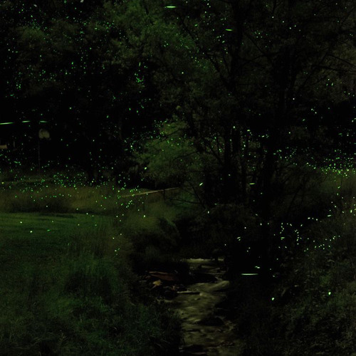futile devices - slowed & reverb (edited)
