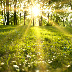 Lisa P - Spring Feeling: Uplifting Trance Mix (March 2025)