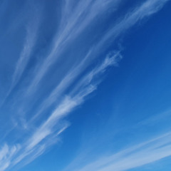 Y TRAXX-mystery land(jax remix)