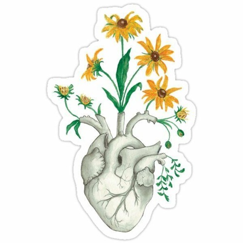 meyou-สองรัก