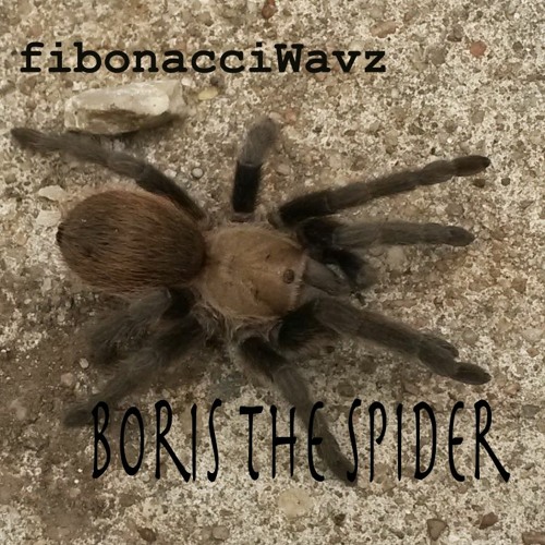 Boris The Spider