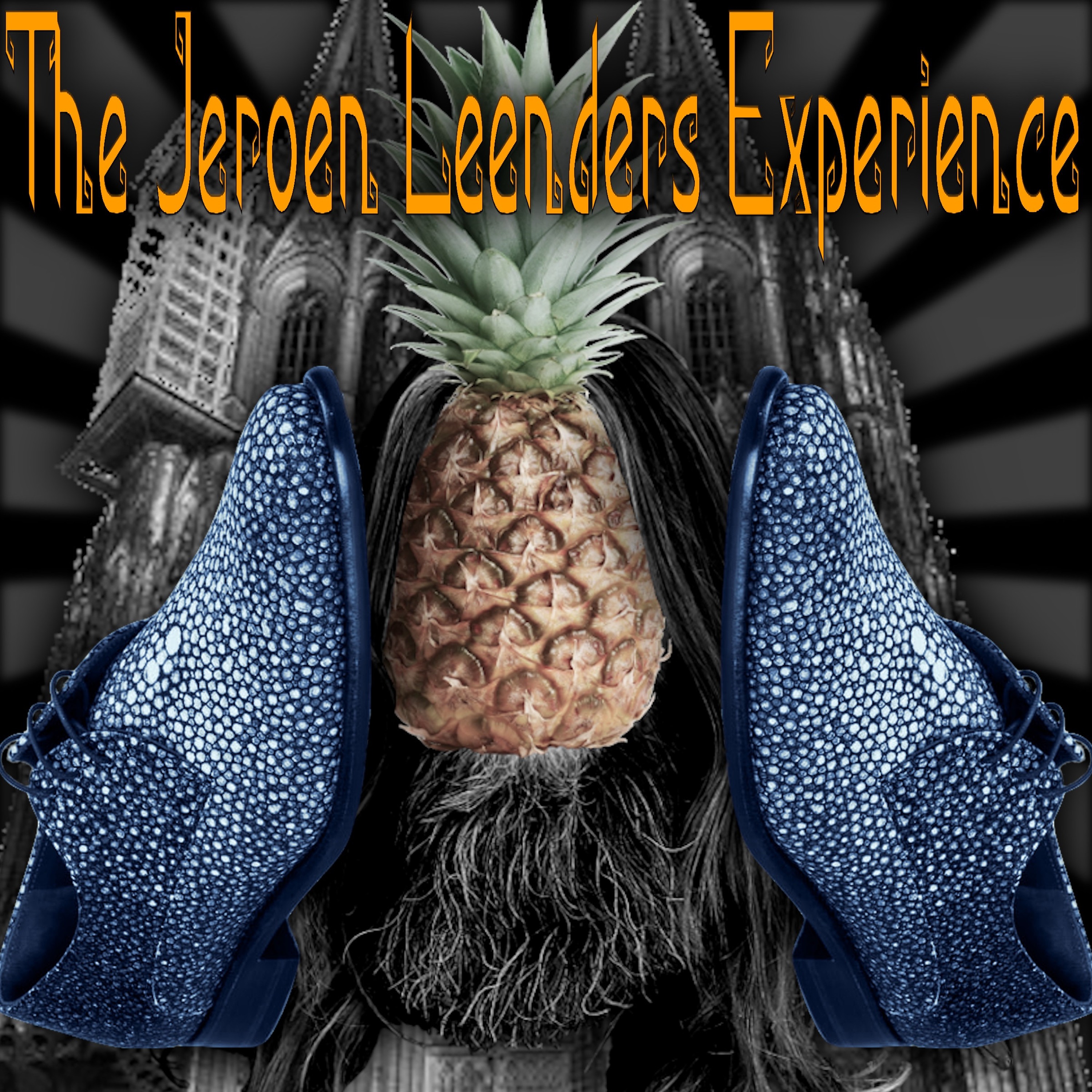 Jeroen Leenders Experience