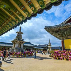 Review Special Price Gyeongju Unesco World Heritage Guided Day Tour From Busan