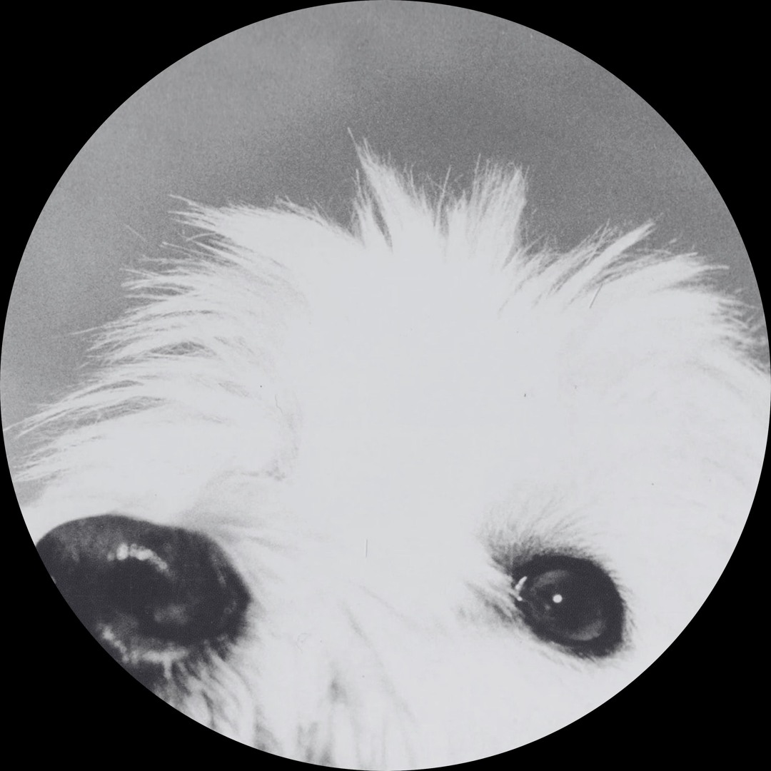 Stream Moloko - Sing It Back (Sonic Rain Bootleg) [Free DL