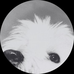 Moloko - Sing It Back (Sonic Rain Bootleg) [Free DL]