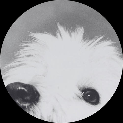 Stream Moloko - Sing It Back (Sonic Rain Bootleg) [Free DL