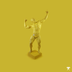 Muscle Mass Increase