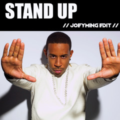 Ludacris - Stand Up (JoeyMing Radio Edit)