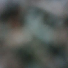 시집가는 꿈을 꾸냐? (Do you dream of getting married?) Speed up